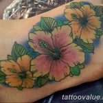 photo tattoo hibiscus 29.11.2018 №004 - flower hibiscus tattoo drawing - tattoovalue.net