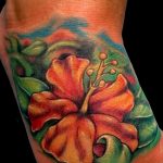 photo tattoo hibiscus 29.11.2018 №016 - flower hibiscus tattoo drawing - tattoovalue.net