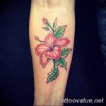 photo tattoo hibiscus 29.11.2018 №018 - flower hibiscus tattoo drawing - tattoovalue.net