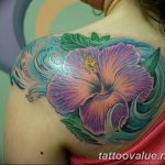 photo tattoo hibiscus 29.11.2018 №023 - flower hibiscus tattoo drawing - tattoovalue.net