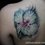 photo tattoo hibiscus 29.11.2018 №029 - flower hibiscus tattoo drawing - tattoovalue.net