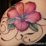 photo tattoo hibiscus 29.11.2018 №037 - flower hibiscus tattoo drawing - tattoovalue.net