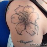 photo tattoo hibiscus 29.11.2018 №040 - flower hibiscus tattoo drawing - tattoovalue.net