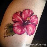 photo tattoo hibiscus 29.11.2018 №046 - flower hibiscus tattoo drawing - tattoovalue.net