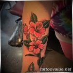 photo tattoo hibiscus 29.11.2018 №049 - flower hibiscus tattoo drawing - tattoovalue.net