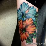 photo tattoo hibiscus 29.11.2018 №050 - flower hibiscus tattoo drawing - tattoovalue.net