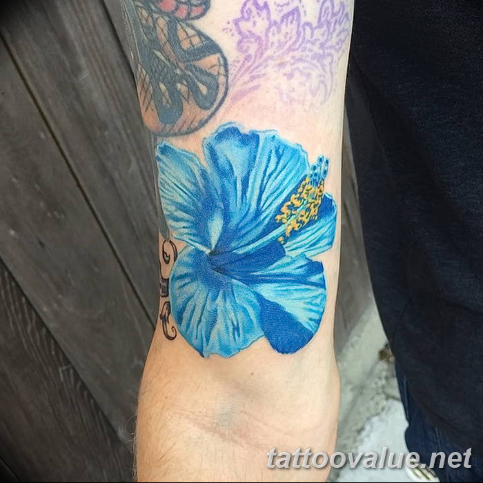 photo tattoo hibiscus 29.11.2018 №055 - flower hibiscus tattoo drawing - tattoovalue.net