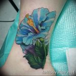 photo tattoo hibiscus 29.11.2018 №058 - flower hibiscus tattoo drawing - tattoovalue.net