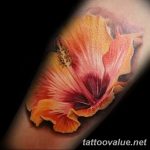 photo tattoo hibiscus 29.11.2018 №064 - flower hibiscus tattoo drawing - tattoovalue.net