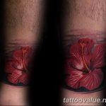 photo tattoo hibiscus 29.11.2018 №067 - flower hibiscus tattoo drawing - tattoovalue.net