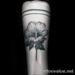 photo tattoo hibiscus 29.11.2018 №068 - flower hibiscus tattoo drawing - tattoovalue.net