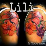 photo tattoo hibiscus 29.11.2018 №071 - flower hibiscus tattoo drawing - tattoovalue.net