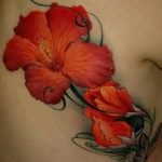 photo tattoo hibiscus 29.11.2018 №078 - flower hibiscus tattoo drawing - tattoovalue.net