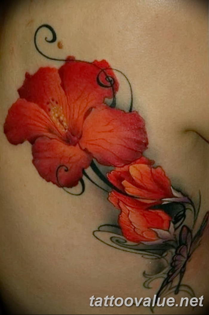 photo tattoo hibiscus 29.11.2018 №078 - flower hibiscus tattoo drawing - tattoovalue.net