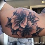 photo tattoo hibiscus 29.11.2018 №081 - flower hibiscus tattoo drawing - tattoovalue.net