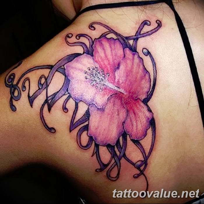 photo tattoo hibiscus 29.11.2018 №082 - flower hibiscus tattoo drawing - tattoovalue.net