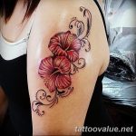 photo tattoo hibiscus 29.11.2018 №090 - flower hibiscus tattoo drawing - tattoovalue.net
