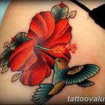 photo tattoo hibiscus 29.11.2018 №097 - flower hibiscus tattoo drawing - tattoovalue.net