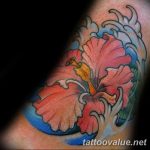 photo tattoo hibiscus 29.11.2018 №098 - flower hibiscus tattoo drawing - tattoovalue.net