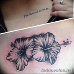 photo tattoo hibiscus 29.11.2018 №099 - flower hibiscus tattoo drawing - tattoovalue.net