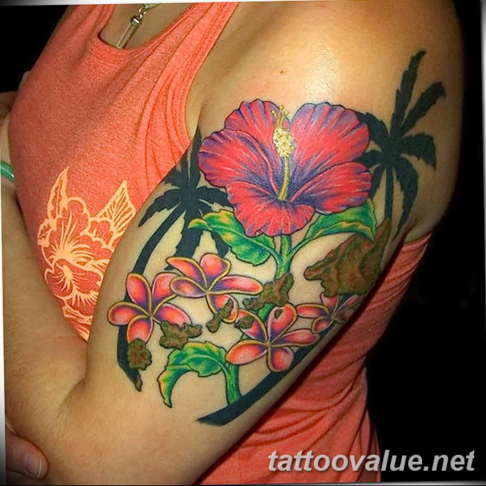 photo tattoo hibiscus 29.11.2018 №102 - flower hibiscus tattoo drawing - tattoovalue.net