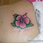 photo tattoo hibiscus 29.11.2018 №103 - flower hibiscus tattoo drawing - tattoovalue.net