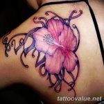 photo tattoo hibiscus 29.11.2018 №105 - flower hibiscus tattoo drawing - tattoovalue.net