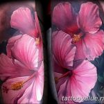 photo tattoo hibiscus 29.11.2018 №108 - flower hibiscus tattoo drawing - tattoovalue.net