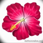 photo tattoo hibiscus 29.11.2018 №111 - flower hibiscus tattoo drawing - tattoovalue.net