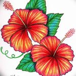 photo tattoo hibiscus 29.11.2018 №112 - flower hibiscus tattoo drawing - tattoovalue.net