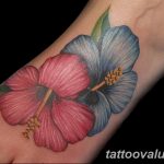 photo tattoo hibiscus 29.11.2018 №117 - flower hibiscus tattoo drawing - tattoovalue.net