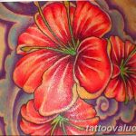photo tattoo hibiscus 29.11.2018 №122 - flower hibiscus tattoo drawing - tattoovalue.net