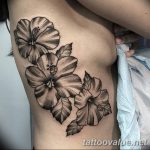 photo tattoo hibiscus 29.11.2018 №125 - flower hibiscus tattoo drawing - tattoovalue.net