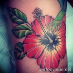 photo tattoo hibiscus 29.11.2018 №128 - flower hibiscus tattoo drawing - tattoovalue.net