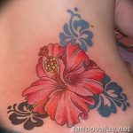 photo tattoo hibiscus 29.11.2018 №130 - flower hibiscus tattoo drawing - tattoovalue.net