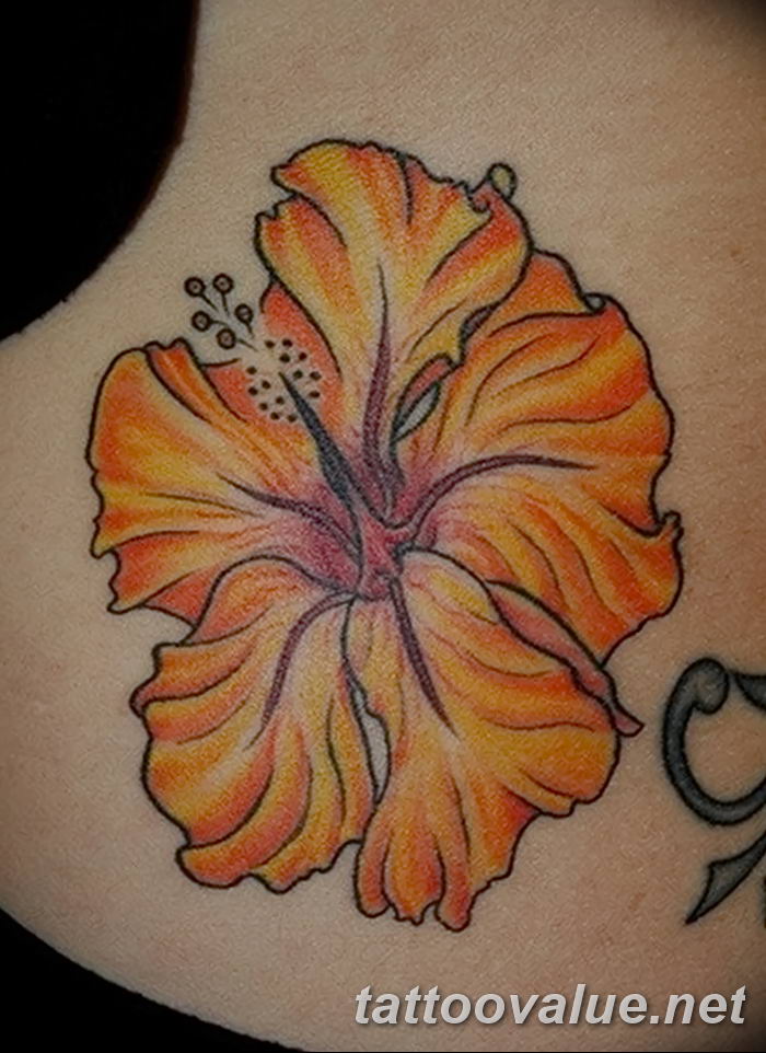photo tattoo hibiscus 29.11.2018 №137 - flower hibiscus tattoo drawing - tattoovalue.net