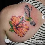 photo tattoo hibiscus 29.11.2018 №139 - flower hibiscus tattoo drawing - tattoovalue.net