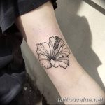 photo tattoo hibiscus 29.11.2018 №143 - flower hibiscus tattoo drawing - tattoovalue.net