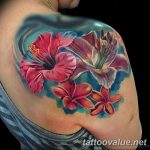 photo tattoo hibiscus 29.11.2018 №147 - flower hibiscus tattoo drawing - tattoovalue.net
