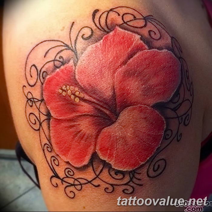 photo tattoo hibiscus 29.11.2018 №148 - flower hibiscus tattoo drawing - tattoovalue.net