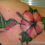 photo tattoo hibiscus 29.11.2018 №149 - flower hibiscus tattoo drawing - tattoovalue.net