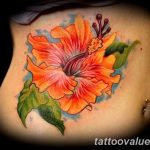 photo tattoo hibiscus 29.11.2018 №152 - flower hibiscus tattoo drawing - tattoovalue.net