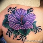 photo tattoo hibiscus 29.11.2018 №155 - flower hibiscus tattoo drawing - tattoovalue.net