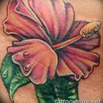 photo tattoo hibiscus 29.11.2018 №160 - flower hibiscus tattoo drawing - tattoovalue.net