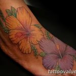 photo tattoo hibiscus 29.11.2018 №161 - flower hibiscus tattoo drawing - tattoovalue.net