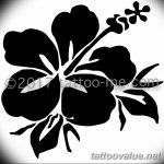 photo tattoo hibiscus 29.11.2018 №162 - flower hibiscus tattoo drawing - tattoovalue.net