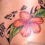 photo tattoo hibiscus 29.11.2018 №165 - flower hibiscus tattoo drawing - tattoovalue.net