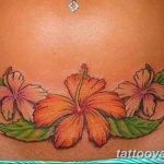 photo tattoo hibiscus 29.11.2018 №169 - flower hibiscus tattoo drawing - tattoovalue.net