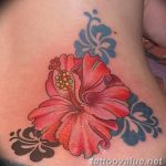 photo tattoo hibiscus 29.11.2018 №171 - flower hibiscus tattoo drawing - tattoovalue.net