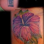 photo tattoo hibiscus 29.11.2018 №172 - flower hibiscus tattoo drawing - tattoovalue.net